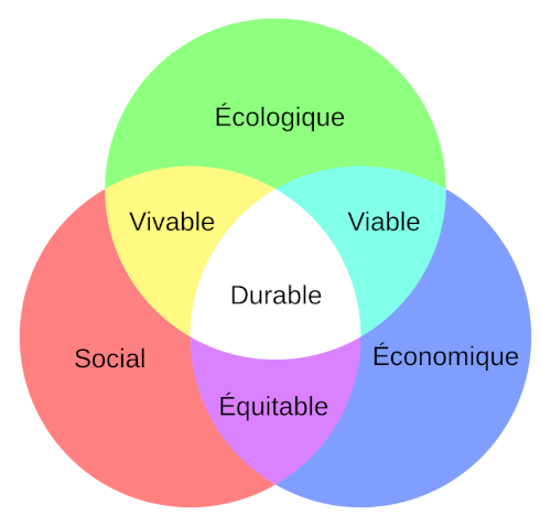 Fig. Notion de Développement Durable